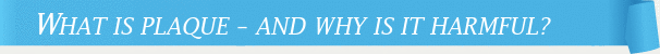 Dentist Cincinnati What Is Plaque – And Why Is It Harmful?